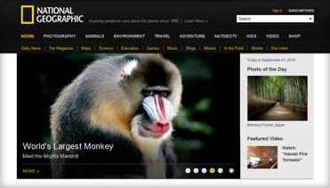 无限循环呼叫短信软件